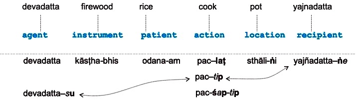 Figure D: Phonology or Sandhi rules adjust pronunciation and vary word-order to form the sentence: devadattaḥ odanam yaj\=nadattāya sthālyām kāṣṭhaiḥ pacati.