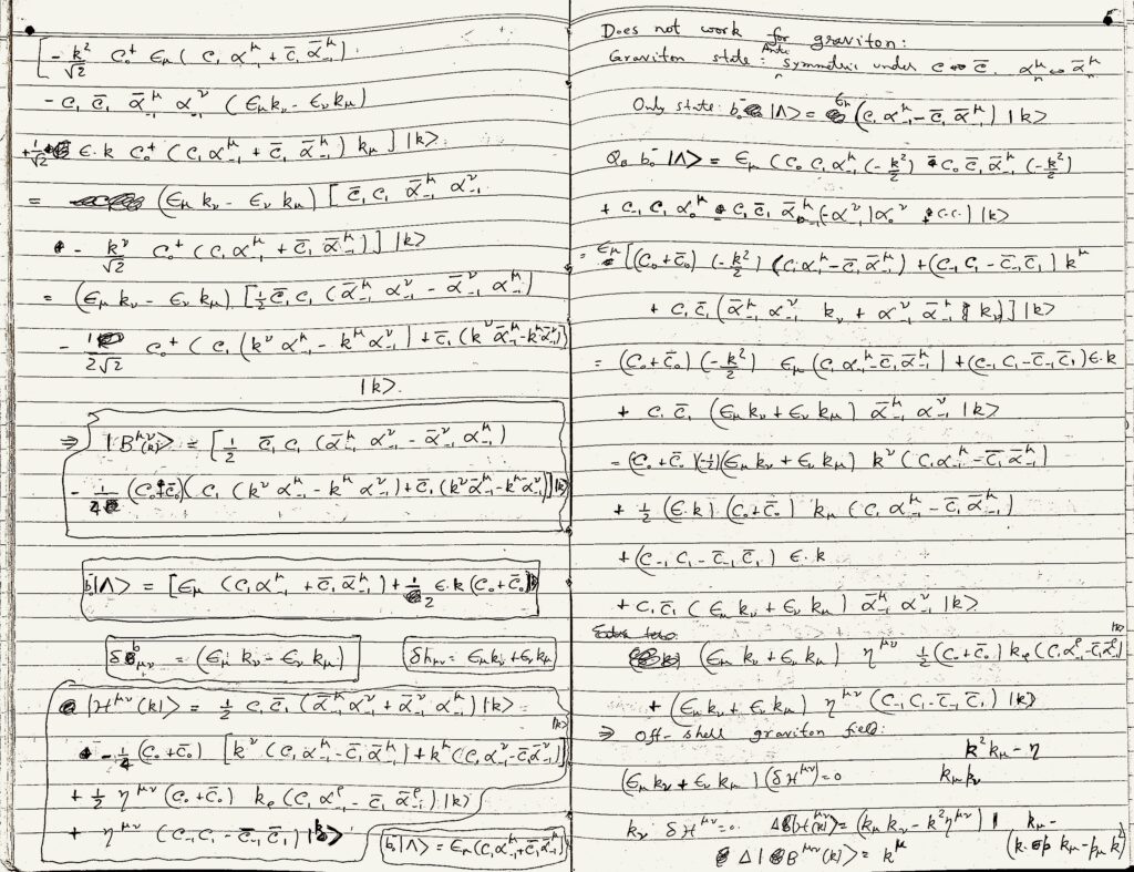 Sample pages from his notebooks